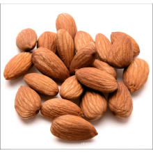 high quality badam almond roasted nuts with shell